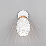 Reality Leuchten Bidar Aplique de pared (Blanco, E14, Diámetro: 12 cm) | BAUHAUS
