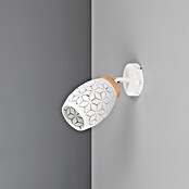 Reality Leuchten Bidar Aplique de pared (Blanco, E14, Diámetro: 12 cm) | BAUHAUS