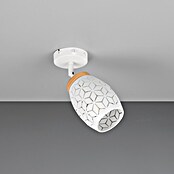 Reality Leuchten Bidar Aplique de pared (Blanco, E14, Diámetro: 12 cm) | BAUHAUS