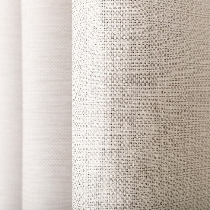 Verduisteringsgordijn Monterrey 12 (100% polyester, Champagne) | BAUHAUS
