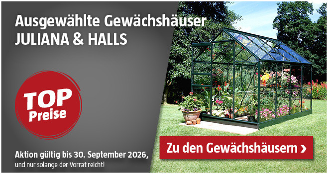 Glasgewächshaus im Garten
