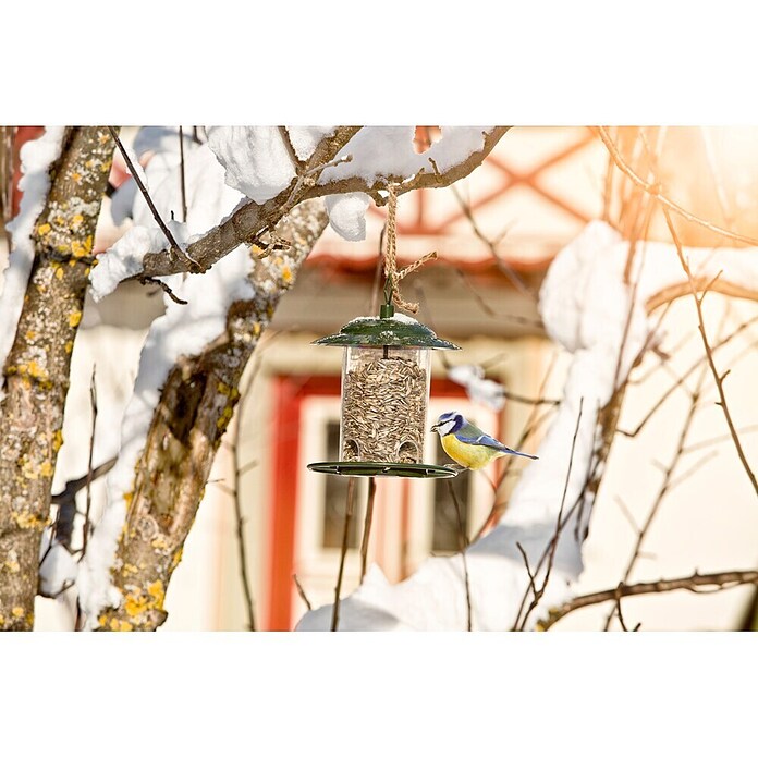 Vogelhaus Compact  (17,5 x 22,5 cm, Grün)