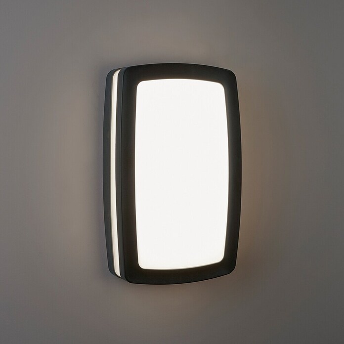 Searchlight Wandlamp voor buiten Tokyo (12 W, Dark Grey, IP54) | BAUHAUS
