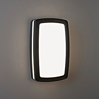 Searchlight Wandlamp voor buiten Tokyo (12 W, Dark Grey, IP54)