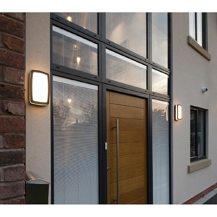 Searchlight Wandlamp voor buiten Tokyo (12 W, Dark Grey, IP54) | BAUHAUS