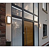 Searchlight Wandlamp voor buiten Tokyo (12 W, Dark Grey, IP54) | BAUHAUS