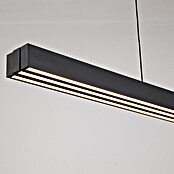 Searchlight Led-hanglamp Linear (13 W, l x b x h: 95 x 6 x 60 cm, Black and Frosted) | BAUHAUS