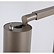 Searchlight Led-tafellamp (10 W, l x b x h: 16 x 10 x 40 cm, Latte Metallic) | BAUHAUS