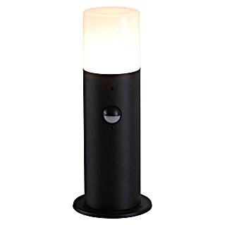 Searchlight Sokkellamp voor buiten Colorado Bollard