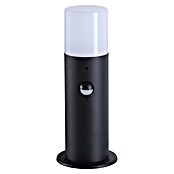 Searchlight Sokkellamp voor buiten Colorado Bollard () | BAUHAUS