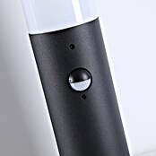 Searchlight Sokkellamp voor buiten Colorado Bollard () | BAUHAUS