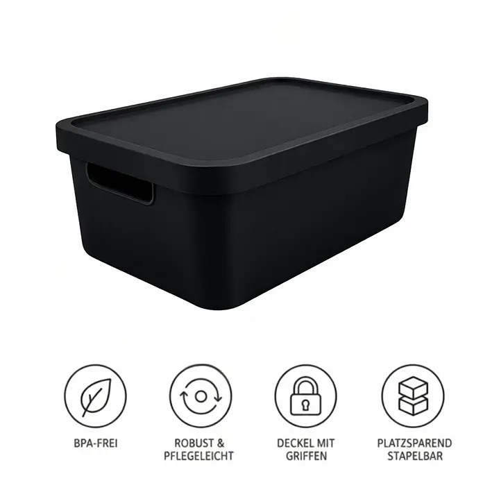 Plastard Aufbewahrungsbox-Set 2er-Set 31 Liter in Schwarz mit Deckel – Stapelboxen, Lagerboxen - L x B x H: 45,5 x 33,5 x 25 cm, Kunststoff, Schwarz, 2 Stk. - Schwarze Kunststoff-Aufbewahrungsbox mit Deckel und integrierten Griffen, stapelbar und platzsparend.