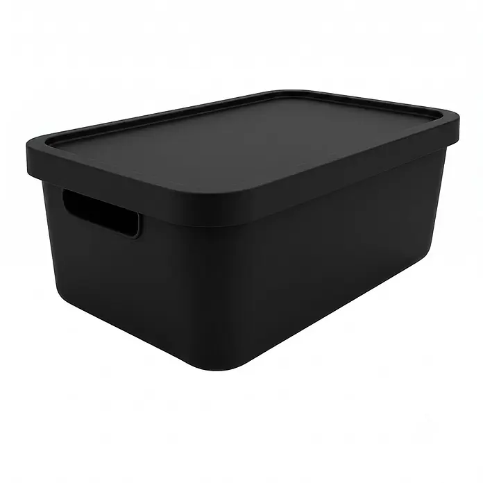 Plastard Aufbewahrungsbox-Set 2er-Set 31 Liter in Schwarz mit Deckel – Stapelboxen, Lagerboxen - L x B x H: 45,5 x 33,5 x 25 cm, Kunststoff, Schwarz, 2 Stk. - Schwarze Plastik-Aufbewahrungsbox mit Deckel.