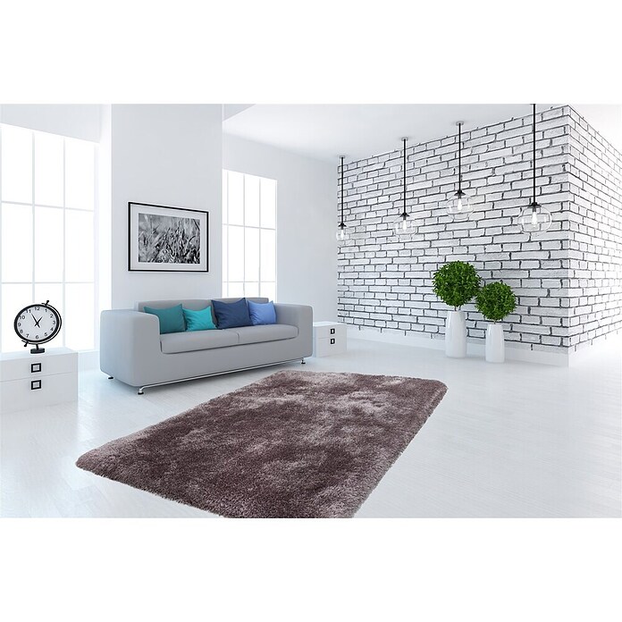 Kayoom Teppich Cosy (Silber, L x B: 150 x 80 cm)