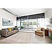 Kayoom Kurzflorteppich Luxury (Elfenbein/Taupe, 150 x 80 cm)