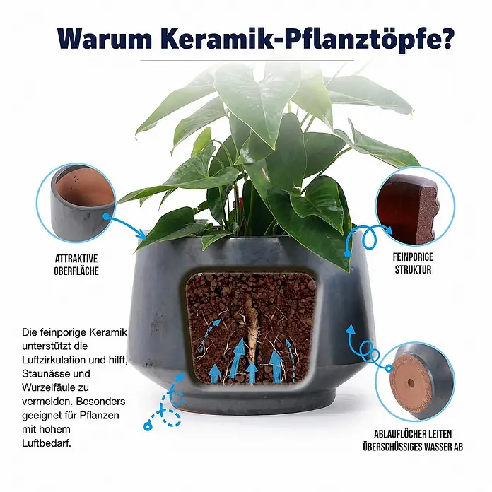 SONNENH Pflanztopf - 1 Stk., Keramik, Schwarz - Dunkler Keramik-Pflanztopf mit poröser Struktur, Drainagelöchern und Luftzirkulation zur Vermeidung von Wurzelfäule für gesunde Pflanzen.