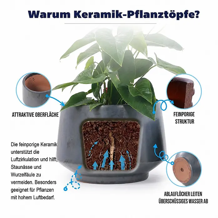 SONNENH Pflanztopf - 3 Stk., Keramik, Schwarz - Grauer Keramik-Pflanztopf mit Pflanze, der attraktive Oberfläche, feinporige Struktur für Luftzirkulation und Entwässerung bietet.