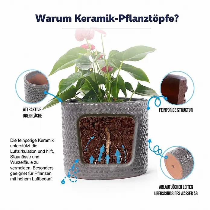 SONNENH Pflanztopf - 1 Stk., Keramik, Grau - Grauer Keramik-Pflanztopf mit einer Anthurie, der seine poröse Struktur, Drainagelöcher und attraktive Oberfläche für bessere Luftzirkulation hervorhebt.