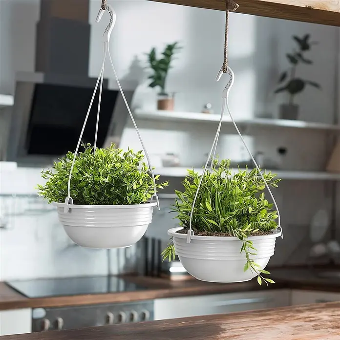 Plastard Blumenampel 3er Set Ø 32 cm in Weiß mit Aufhänger, Deko Blumentopf - 3 Stk., Außenmaß (Ø x H): 32 x 12,5 cm, Kunststoff, Weiß - Zwei weiße Kunststoff-Hängepflanztöpfe mit grünen Pflanzen, aufgehängt an einem Holzbalken in einer Küche.
