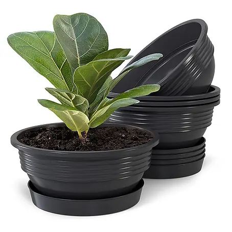 Plastard  Pflanzschale rund 5er Set Pflanzenschalen Ø 40 cm mit Untersetzer rund – Anthrazit