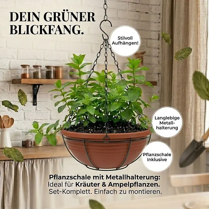 Plastard Pflanzschale rund 3er-Set Ø 32 cm mit Metallkorb hängend Terrakotta - 3 Stk., Außenmaß (Ø x H): 32 x 12,5 cm, Kunststoff, Terrakotta - Brauner Hängekorb mit schwarzem Metallhalter, gefüllt mit grüner Pflanze, in einer Küche aufgehängt.