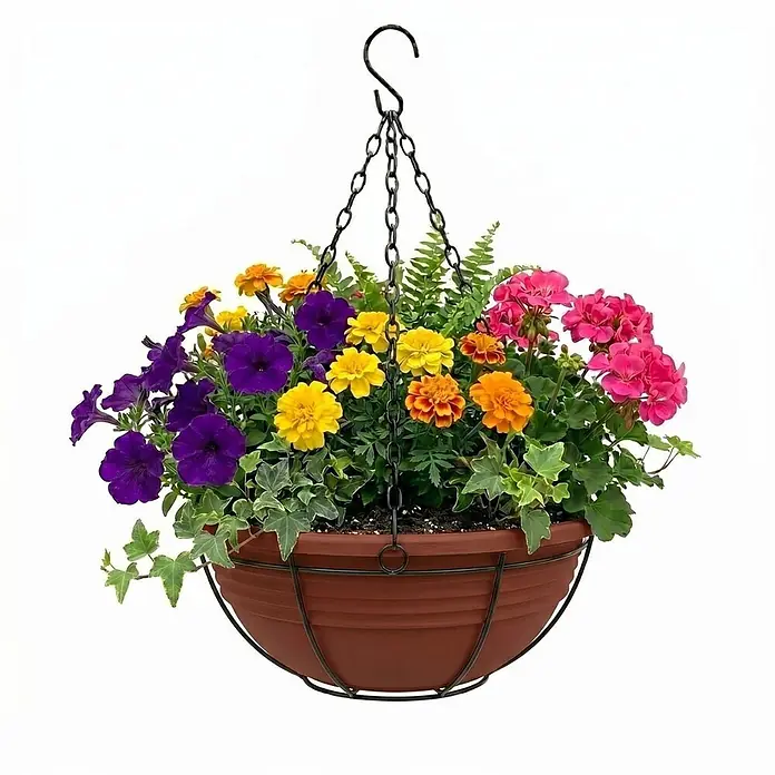 Plastard Pflanzschale rund Ø 32 cm mit Metallkorb Terrakotta Blumenschale hängend - 1 Stk., Außenmaß (Ø x H): 32 x 12,5 cm, Kunststoff, Terrakotta - Brauner Kunststoff-Hängekorb mit bunten Blumen und Efeu, an einer schwarzen Kette aufgehängt.