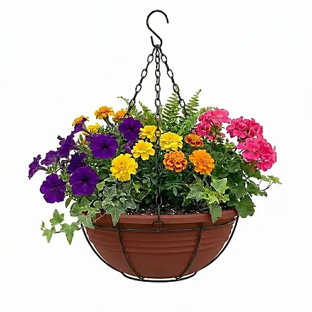 Plastard  Pflanzschale rund Ø 40 cm mit Metallkorb Terrakotta Blumenschale hängend