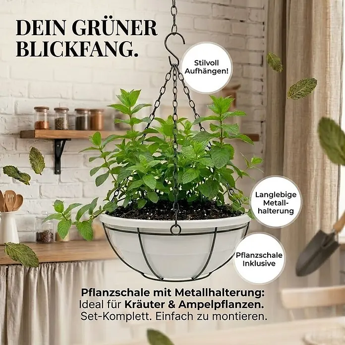 Plastard Pflanzschale rund 3er-Set Ø 40 cm mit Metallkorb hängend Weiß - 3 Stk., Außenmaß (Ø x H): 40 x 14 cm, Kunststoff, Weiß - Weiße Hänge-Pflanzschale mit schwarzer Metallhalterung und Kette, gefüllt mit Kräutern, stilvoll aufgehängt.