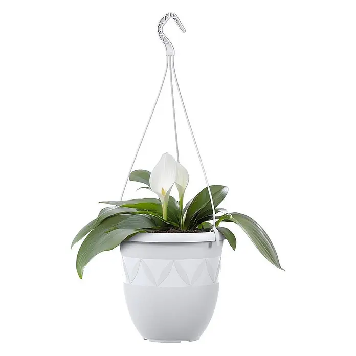Plastard Blumenampel Ø 21 cm in Weiß mit Aufhänger, Deko Blumentopf - 1 Stk., Außenmaß (Ø x H): 21 x 18 cm, Kunststoff, Weiß - Weißer Hängepflanztopf mit geometrischem Muster, enthält eine Pflanze mit grünen Blättern und weißen Blüten, aufgehängt an einem Kunststoffhaken.