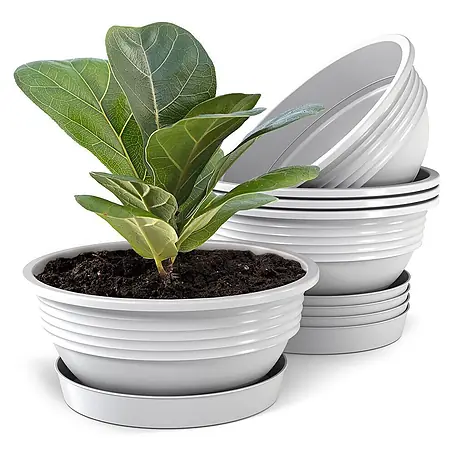 Plastard  Pflanzschale rund 5er Set Pflanzenschalen Ø 25 cm mit Untersetzer rund – Weiß