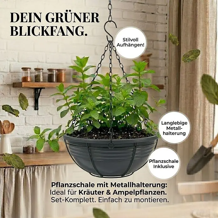 Plastard Pflanzschale rund Ø 40 cm mit Metallkorb Anthrazit Blumenschale hängend - 1 Stk., Außenmaß (Ø x H): 40 x 14 cm, Kunststoff, Anthrazit - Dunkelgraue Hänge-Pflanzschale mit Metallketten, bepflanzt mit Minze. Ideal für Kräuter & Ampelpflanzen, im Innenbereich gezeigt.