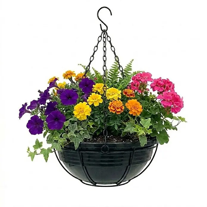 Plastard Pflanzschale rund Ø 40 cm mit Metallkorb Anthrazit Blumenschale hängend - 1 Stk., Außenmaß (Ø x H): 40 x 14 cm, Kunststoff, Anthrazit - Schwarzer Hängekorb mit lila Petunien, gelben/orangen Studentenblumen, pinken Geranien, Efeu und Farn, an schwarzen Ketten hängend.