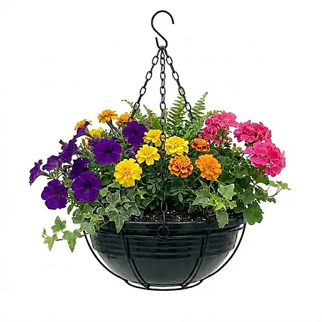 Plastard  Pflanzschale rund Ø 40 cm mit Metallkorb Anthrazit Blumenschale hängend