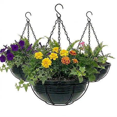 Plastard  Pflanzschale rund 3er-Set Ø 32 cm mit Metallkorb hängend Anthrazit
