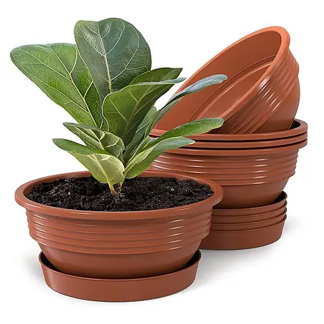 Plastard  Pflanzschale rund 5er Set Pflanzenschalen Ø 32 cm mit Untersetzer rund – Terrakotta
