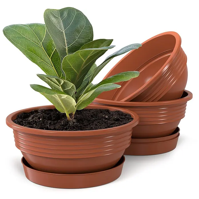 Plastard Pflanzschale rund 3er Set Pflanzenschalen Ø 52 cm mit Untersetzer rund – Terrakotta - 3 Stk., Außenmaß (Ø x H): 52 x 17,5 cm, Kunststoff, Terrakotta - Grüne Pflanze in einem braunen gerippten Plastiktopf mit Untersetzer, dahinter ein Stapel ähnlicher brauner Töpfe.