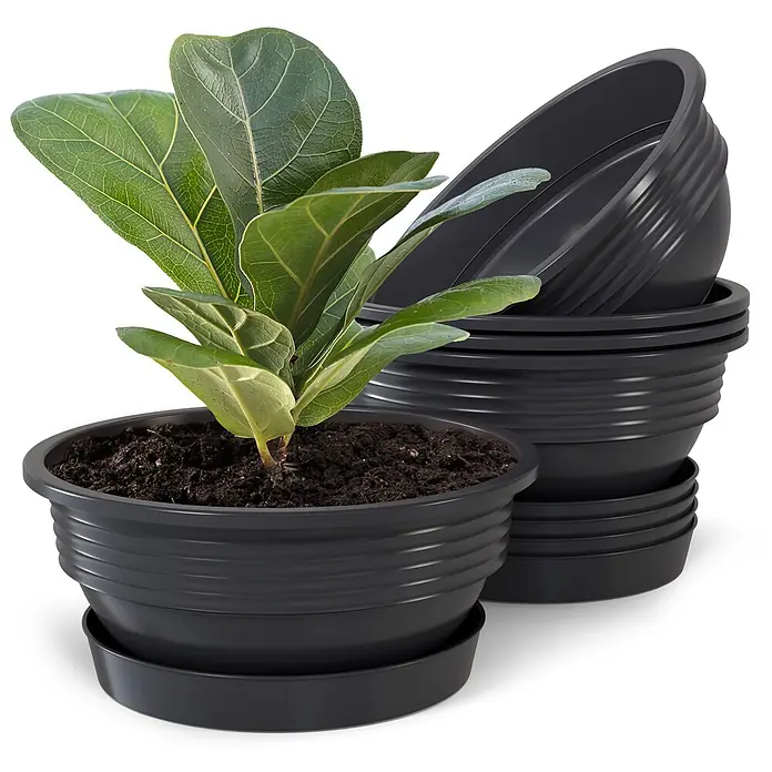 Plastard Pflanzschale rund 5er Set Pflanzenschalen Ø 52 cm mit Untersetzer rund – Anthrazit - 5 Stk., Außenmaß (Ø x H): 52 x 17,5 cm, Kunststoff, Anthrazit - Stapel schwarzer Kunststoff-Blumentöpfe und Untersetzer, ein Topf enthält eine grüne Pflanze.