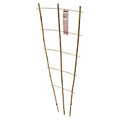Windhager Rankhilfe (B x H: 40 x 110 cm, 1 Stk., Holz, Hellbraun) | BAUHAUS