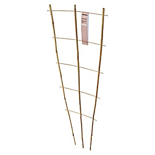 Windhager Rankhilfe (B x H: 40 x 110 cm, 1 Stk., Holz, Hellbraun)