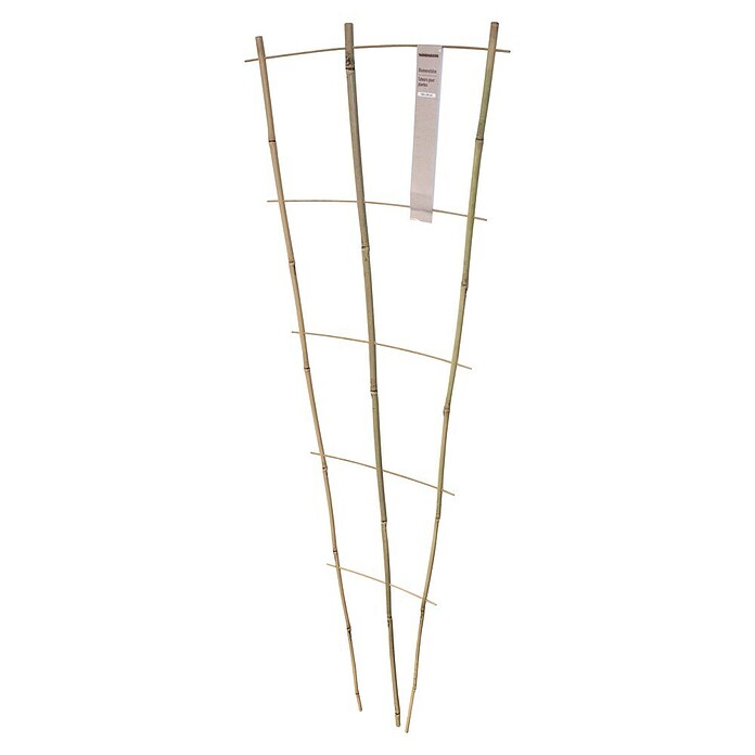 Windhager Rankhilfe (B x H: 50 x 150 cm, 1 Stk., Holz, Hellbraun) | BAUHAUS