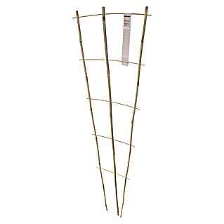 Windhager Rankhilfe (B x H: 50 x 150 cm, 1 Stk., Holz, Hellbraun)