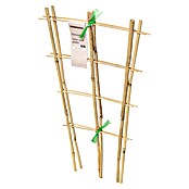 Windhager Rankhilfe (B x H: 25 x 50 cm, 2 Stk., Holz, Hellbraun) | BAUHAUS