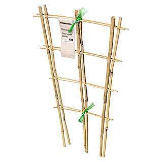 Windhager Rankhilfe (B x H: 25 x 50 cm, 2 Stk., Holz, Hellbraun)