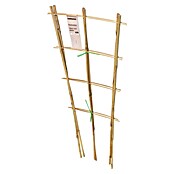 Windhager Rankhilfe (B x H: 30 x 70 cm, 2 Stk., Holz, Hellbraun) | BAUHAUS