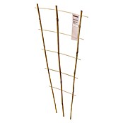 Windhager Rankhilfe (B x H: 35 x 90 cm, 1 Stk., Holz, Hellbraun) | BAUHAUS