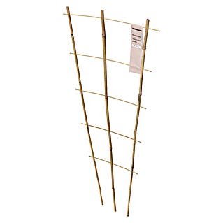 Windhager Rankhilfe (B x H: 35 x 90 cm, 1 Stk., Holz, Hellbraun)