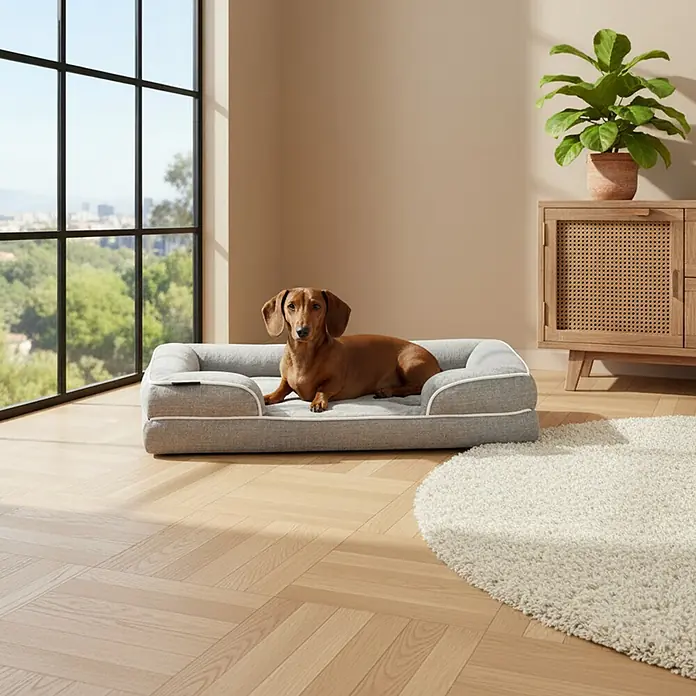 belviona Haustierbett - 63 x 89 x 17 cm, Textil, Grau - Gemütliches hellgraues Hundebett mit weißer Paspel, von einem Dackel bewohnt, in einem hellen Wohnzimmer.