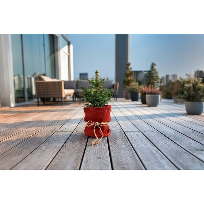 Windhager Jutezopf (Natur, Ø x L: 12 mm x 2 m)