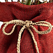 Windhager Jutezopf (Natur, Ø x L: 12 mm x 2 m)