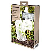 Windhager Tomatenhaube Vliesschlauch Öko (L x B: 10 x 0,75 m, Weiß)